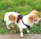 �t���tka prod�m