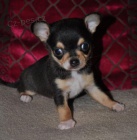 �ivava �t��ata