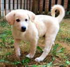 Kana�nsk� �t��ata k dispozici