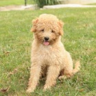 �tuln� miniaturn� pudl�ky