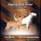 Bulteri�r �t��ata