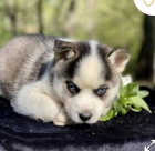 kr�sn� promsky �t�n� k adopci