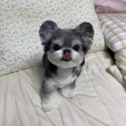 rozko�n� �t��ata kn�ra�� pro nov� domov.