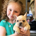 Francouzsk� buldo�ek �t��ata