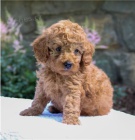 pudl� �t��ata