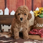 pudl� �t��ata