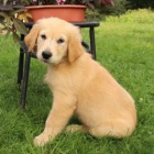 Prod�m rozko�n� �t���tka.