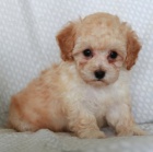 Prod�m rozko�n� �t���tka.