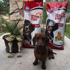 Jezev��k na prodej