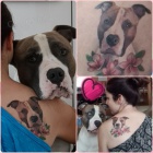 Americk� staford��rsk� teri�r