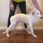 �t��ata barzoj� k dispozici do z�jmov�ch domov�