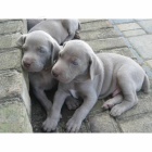 Kupte si k V�noc�m �t��ata v�marsk�ch oha��