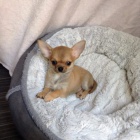 �ivava/�ivava/�ivava