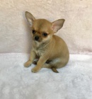 �ivava/�ivava/�ivava