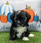 havansk�-havansk�-havansk�