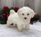 Rozko�n� �t���tka jsou p�ipravena k prodeji.