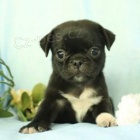 Rozko�n� �t���tka jsou p�ipravena k prodeji.