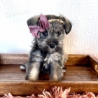 �t��ata mal�ho kn�ra�e