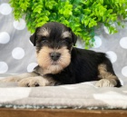 �t��ata mal�ho kn�ra�e