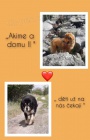 �t���tka Tibetsk� dogy
