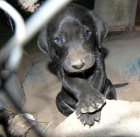 V�mar�t� oha�i �t��ata na prodej