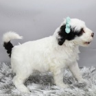 Prod�m �t��ata portugalsk�ho vodn�ho psa. V�ichni jsou o�kovan�, od�erven� a r�di si hraj� s d�tmi a jin�mi zv��aty.