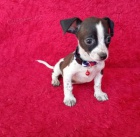 �t��ata �ivava k dispozici