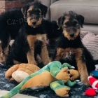 �t��ata Erdelrerier k dispozici