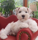 knirac  �t��ata pro miluj�c� a pe�uj�c� domovy  2