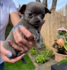  �t��ata �ivava