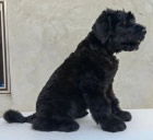 �t��ata �ern�ho rusk�ho teri�ra 