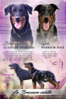 Beauceron s PP-ji� k odb�ru