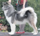 Kanadsk� eskym�ck� �t��ata