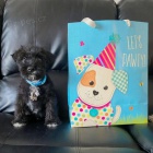 Prod�m o�kovan� �t��ata miniaturn�ho kn�ra�e.