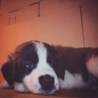 Bernard�n �t��ata