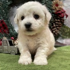 Prod�m �t��ata bi�onka.