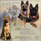 N�meck� ov��k s PP