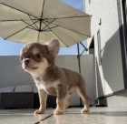 Prozrad� �t��ata �ivavy.