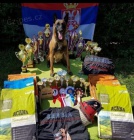 Belgick� ov��k �t��ata