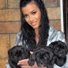 Cane Corso TOP �t��ata