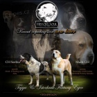 St�edoasijsk� ov��k �t��ata