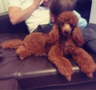 �erven� miniaturn� pudl �t��ata