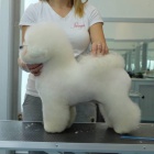 Bi�onek �t��ata