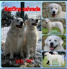 Slovensk� �uva� s PP