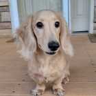 Prod�m �t��ata jezev��ka.