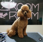 Miniaturn� pudl �t��ata