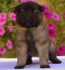 Prod�m �t��ata Tervuerenu