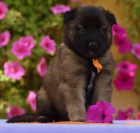 Prod�m �t��ata Tervuerenu