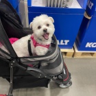 Prod�m zdrav� a o�kovan� �t��ata mini hra�ek Havamalt.