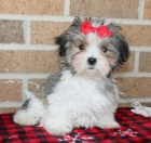 Prod�m �t��ata mini hra�ek havamalt.